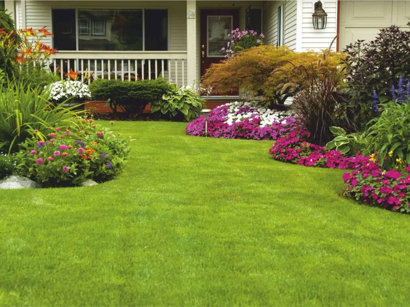 Magicturf Lush Magicturf Lush